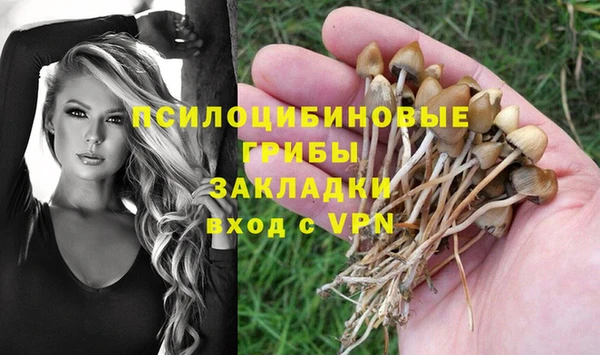дживик Арсеньев