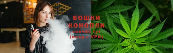 ГАЛЛЮЦИНОГЕННЫЕ ГРИБЫ Армянск