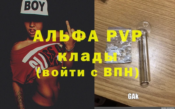 дживик Арсеньев