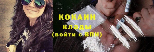 дживик Арсеньев