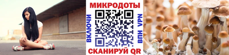 KRAKEN как войти Барабинск Галлюциногенные грибы Magic Shrooms