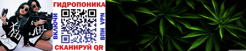 ОМГ ОМГ ONION  площадка клад  Барабинск  МАРИХУАНА SATIVA & INDICA  магазин продажи  